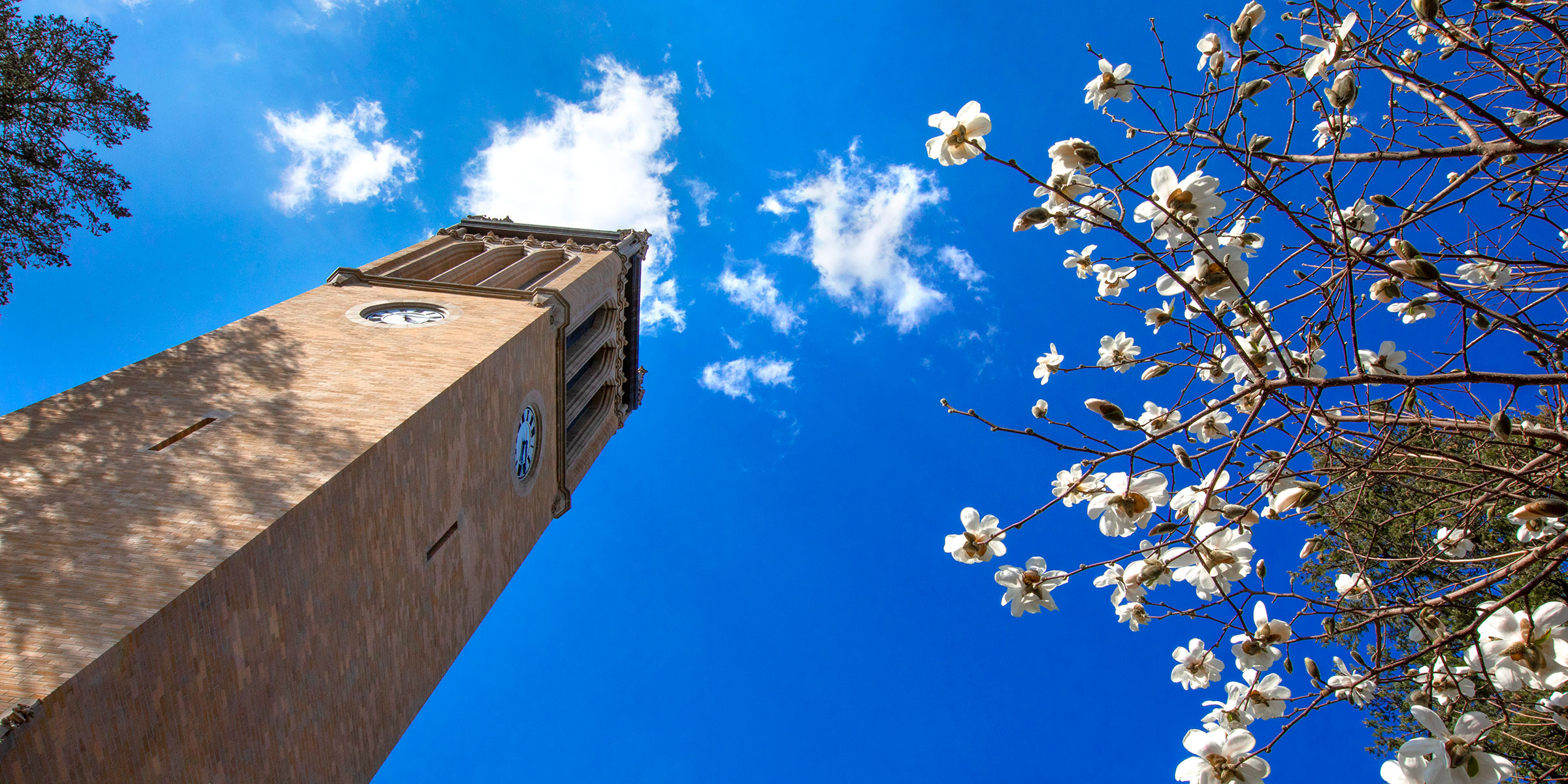 Campanile with flowers